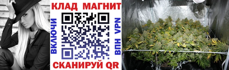 Где найти наркотики Новошахтинск Амфетамин  Cocaine  ГАШ  Конопля 