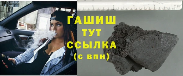 стаф Алзамай