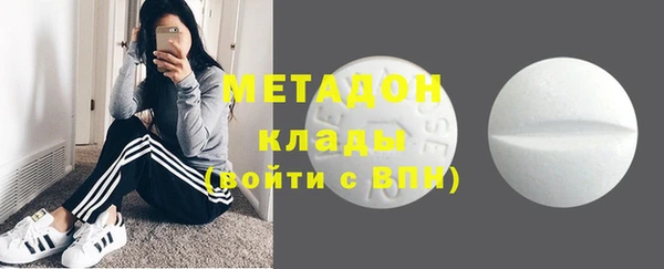 стаф Алзамай