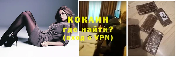 стаф Алзамай