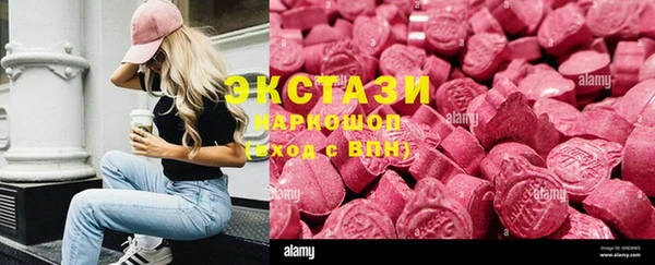 стаф Алзамай