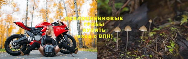 Альфа ПВП Алексин