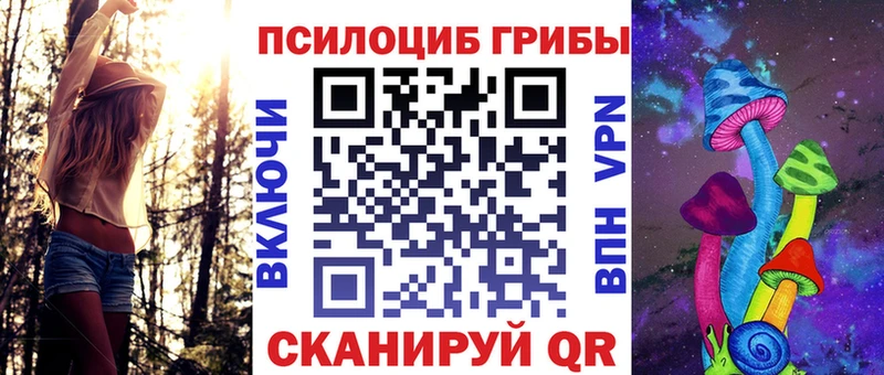купить   Новошахтинск  Галлюциногенные грибы MAGIC MUSHROOMS 